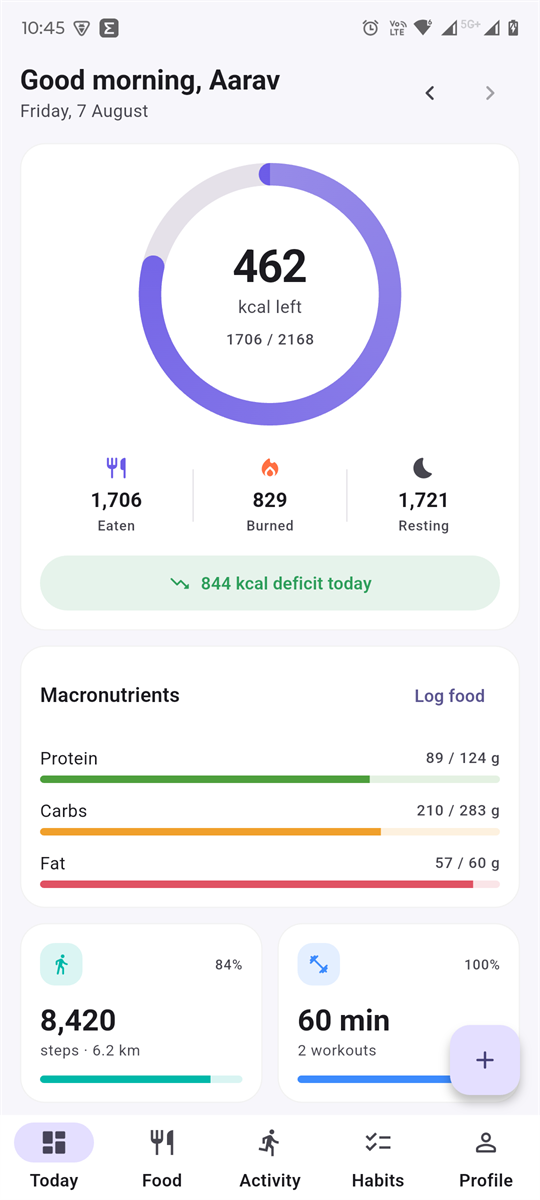 The Daily Sehat dashboard: a calorie ring showing 462 kcal left, the eaten, burned and resting breakdown, macro bars, and step and workout tiles